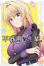 Staffel 1 Cover, Poster