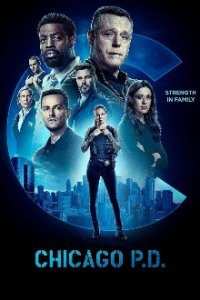 Chicago P.D. Cover, Poster, Chicago P.D. DVD