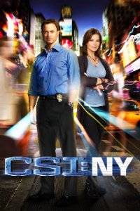 CSI: NY Cover, Poster, CSI: NY DVD