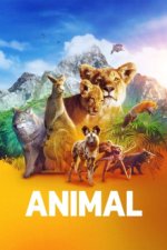 Staffel 1 Cover, Poster