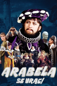 Die Rückkehr der Märchenbraut Cover, Poster, Blu-ray,  Bild