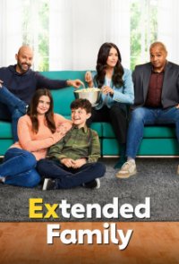 Cover Extended Family, Poster Extended Family, DVD