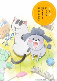 Inu to Neko Docchi mo Katteru to Mainichi Tanoshii Cover, Poster, Inu to Neko Docchi mo Katteru to Mainichi Tanoshii DVD