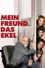 Staffel 1 Cover, Poster
