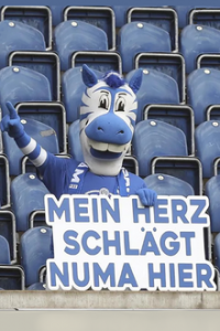 Cover MSV - Mein Herz schlägt numa hier, Poster MSV - Mein Herz schlägt numa hier