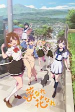 Cover Na Nare Hana Nare, Poster Na Nare Hana Nare