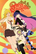 New Panty & Stocking with Garterbelt Cover