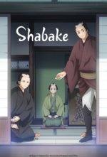 Cover Shabake, Poster Shabake
