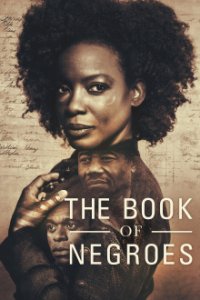 The Book of Negroes Cover, Poster, The Book of Negroes