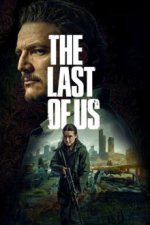 Cover The Last of Us, Poster The Last of Us