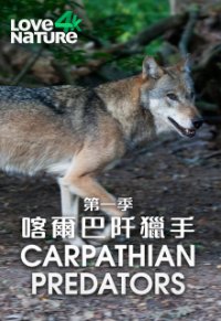 Cover Wilde Karpaten, Wilde Karpaten