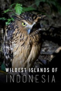 Wildes Indonesien Cover, Poster, Wildes Indonesien