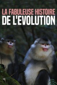 Cover Wunderwelt Erde, Poster Wunderwelt Erde