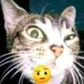 Profilbild emreemre, Avatar